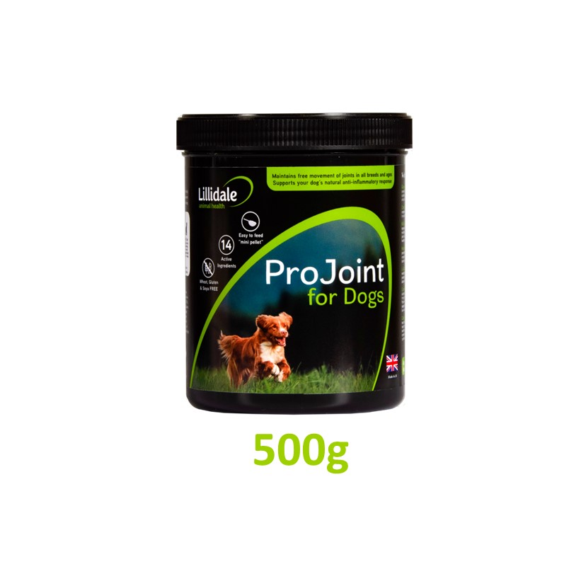Supplement — ProJoint 500g