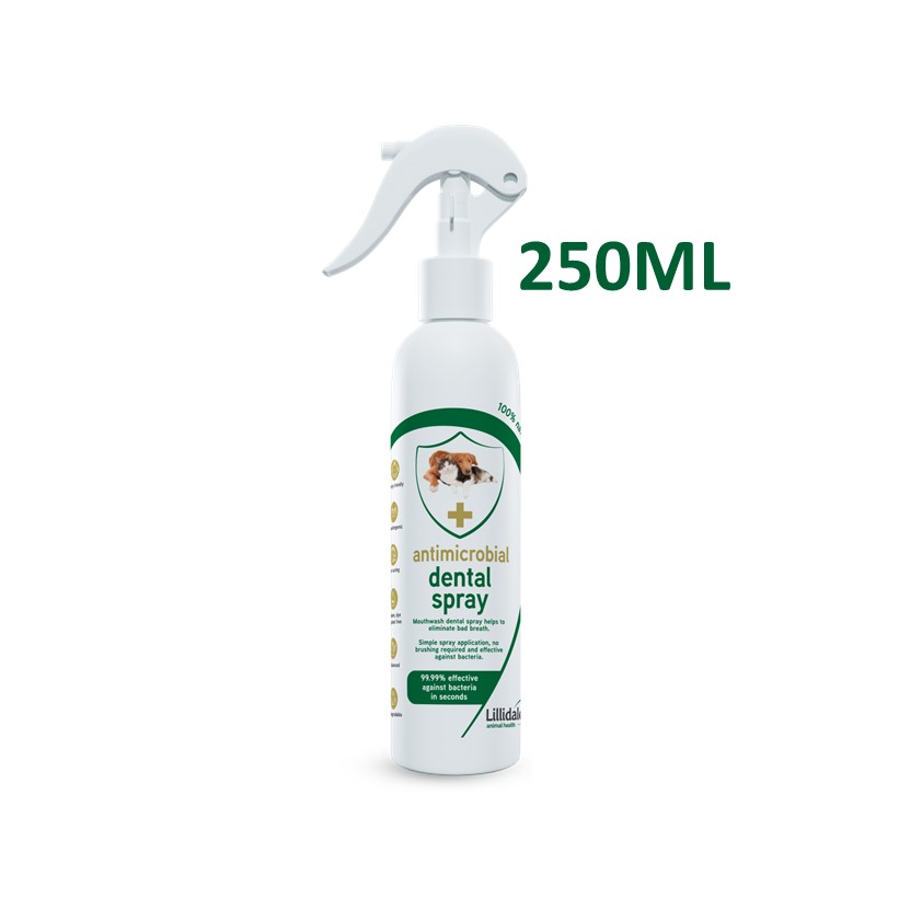 HOCl — Dental Spray 250ml